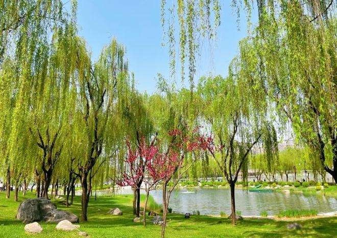 〔诗词小辑〕作者 周海峰（哈尔滨）【冰心文化传媒】制作 冰心（图14）