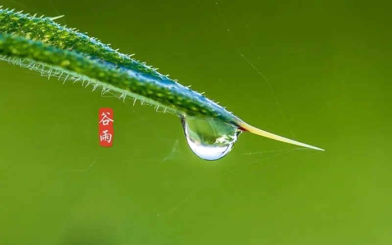 【华夏周刊】第90期诗友合辑