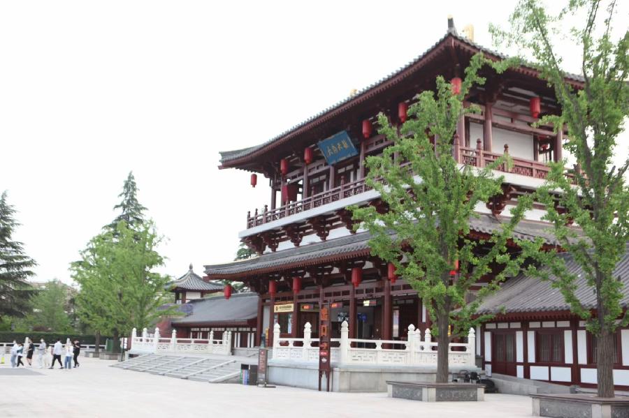 *告别春天的感言*文/孤独与快乐（西安）【冰心文化传媒】（图5）