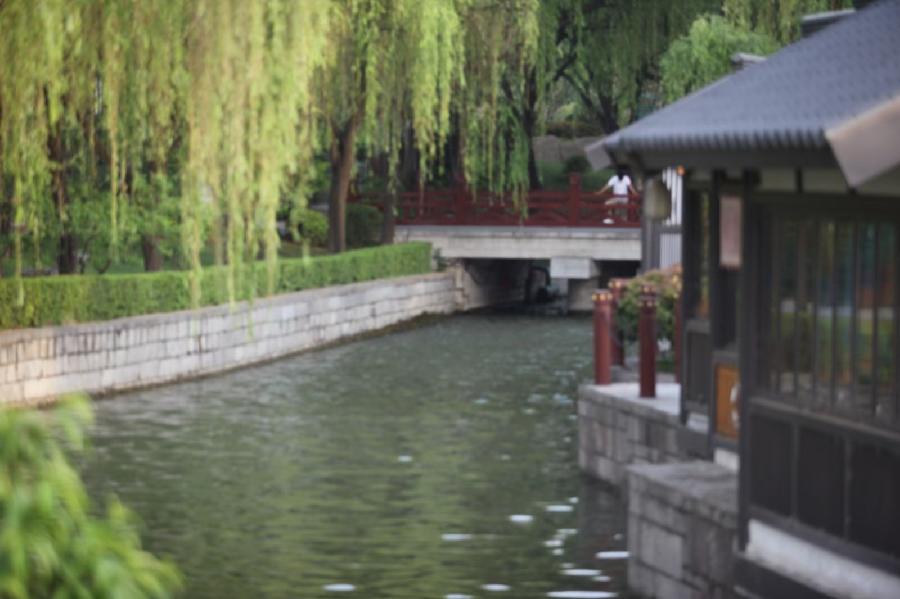 *告别春天的感言*文/孤独与快乐（西安）【冰心文化传媒】（图4）