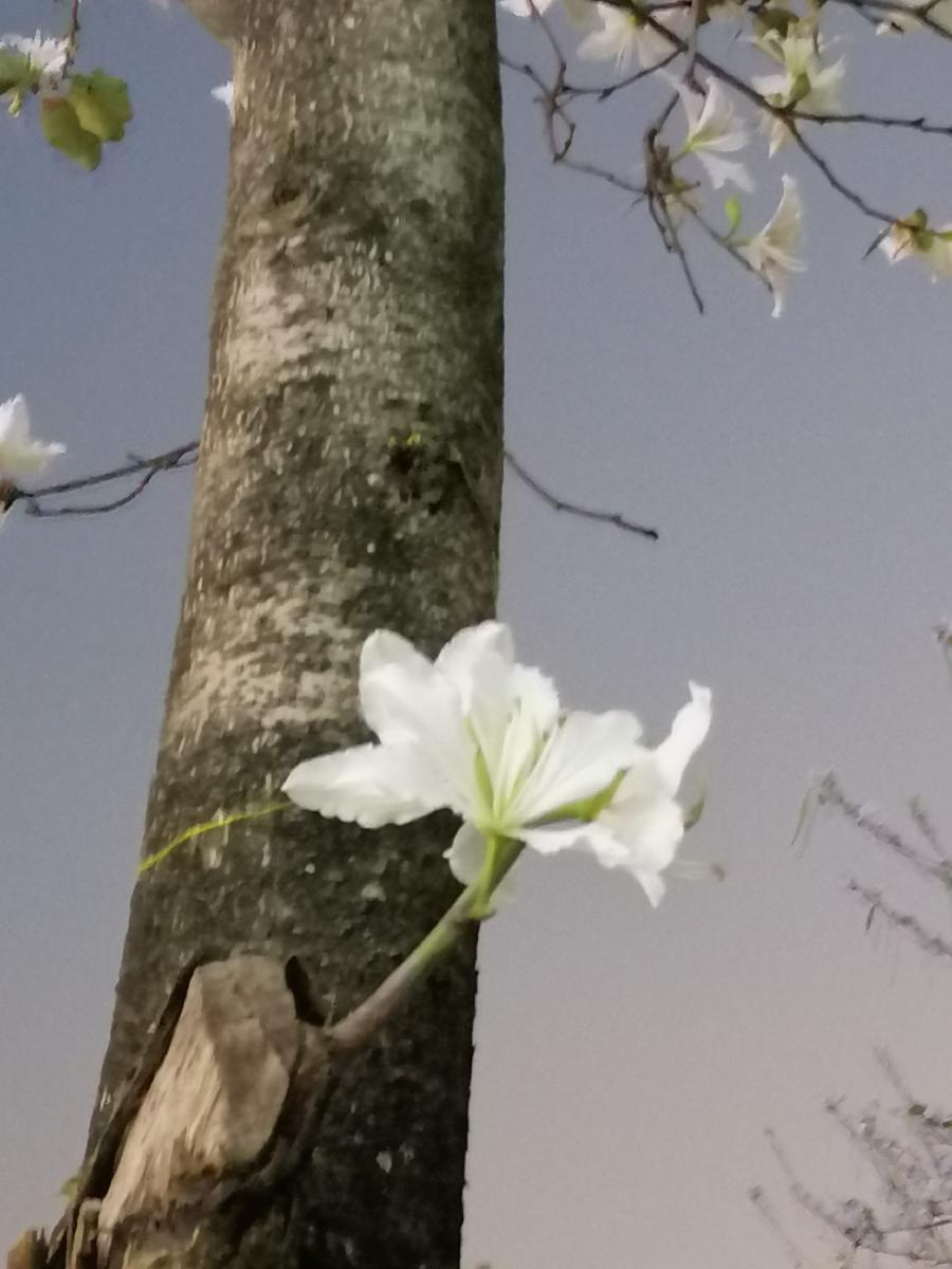 五绝 梦（三首）文／江冲（图2）