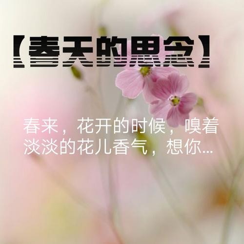 《春天的眼睛》作者: 大浪淘沙【诵读:金牌主播 李秀波】【华人诗者联盟】为你诵读专属的诗♬（图3）