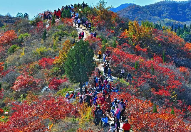 【经典推荐】杨武军//逛长寿山道观｛二首｝（图5）