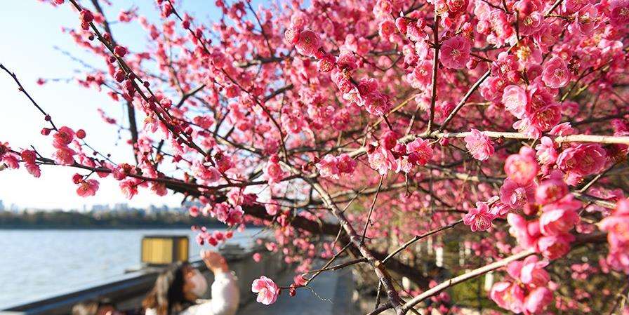 中华诗艺九江格律诗词精品鉴赏（合辑）第1423期（图42）