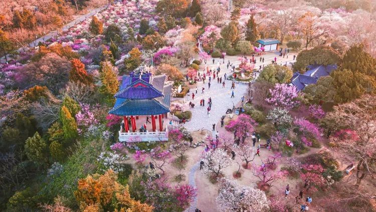【经典推荐】昨夜天//剪剪轻柔溶溶月 却是人间第一春（图7）