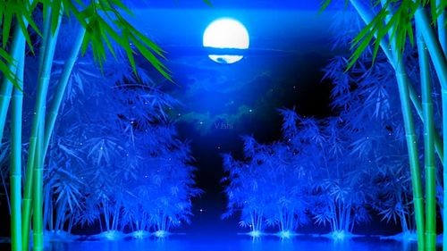 【经典推荐】昨夜天//剪剪轻柔溶溶月 却是人间第一春（图9）