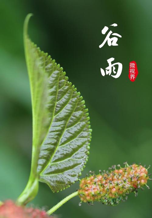 荐赏【神州源流诗苑】第621期[优秀近体诗]周刊（图4）