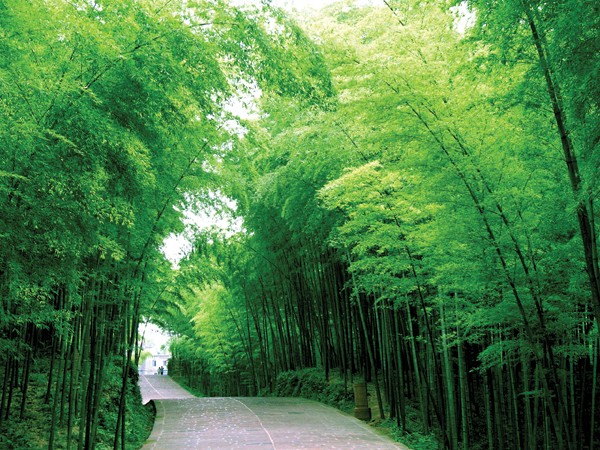 蝉 鸣 蛙 鼓 （组十首） 湖北 蓝天风（图3）