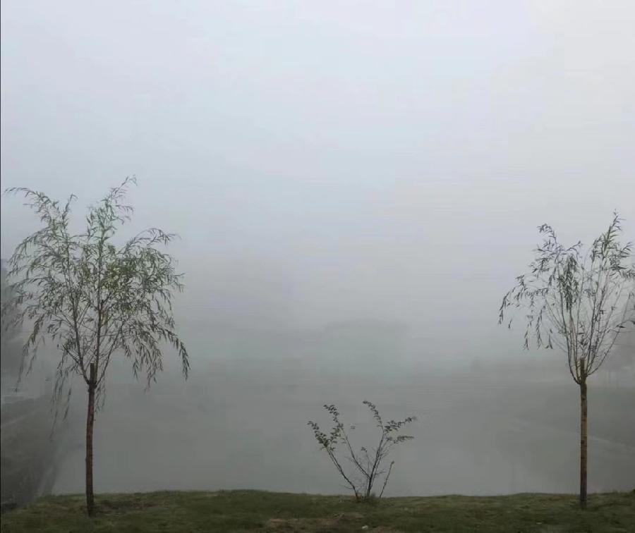 *雨中抒怀* 文／山乡（湖北）【冰心文化传媒】制作 冰心（图4）