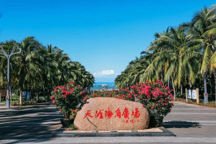 【经典推荐】李太忠//看郑月龙海南三亚抖音有感｛外二首｝（图9）