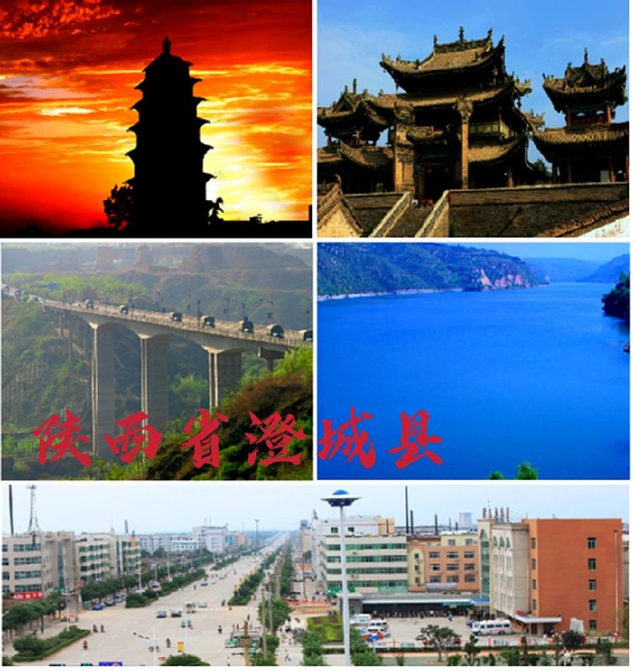 【经典推荐 忆往事】李建印//司秤分红薯｛散文｝（图4）