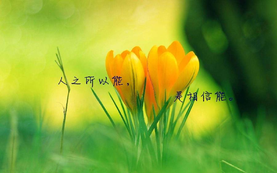 【名家专刊】【九江文学社：北京头条】丛延春先生佳作欣赏（图6）