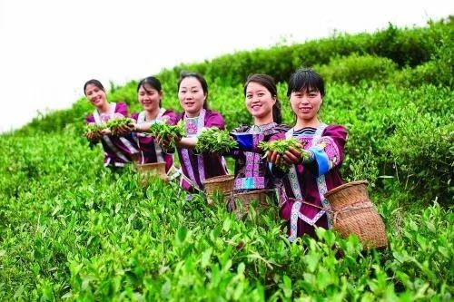 【名家专刊】【九江文学社:北京头条】毛峰先生诗词选登(图12)