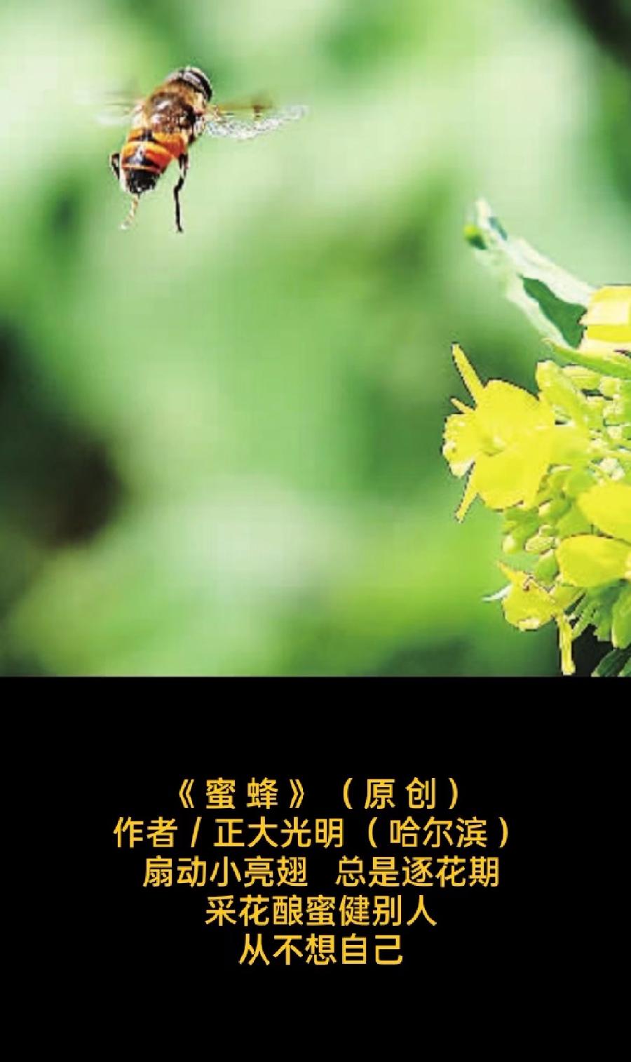 题图微诗三首 作者/正大光明(哈尔滨)京津沪头条(图2)