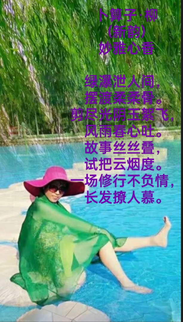【雅诗总会】柳‖作者:妙雅心香（图3）