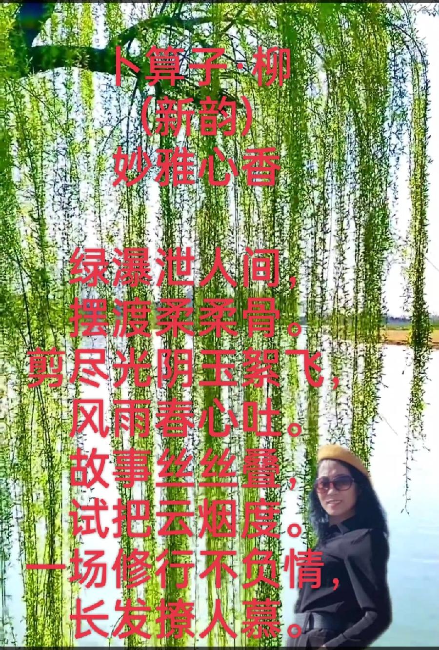 【雅诗总会】柳‖作者:妙雅心香（图2）