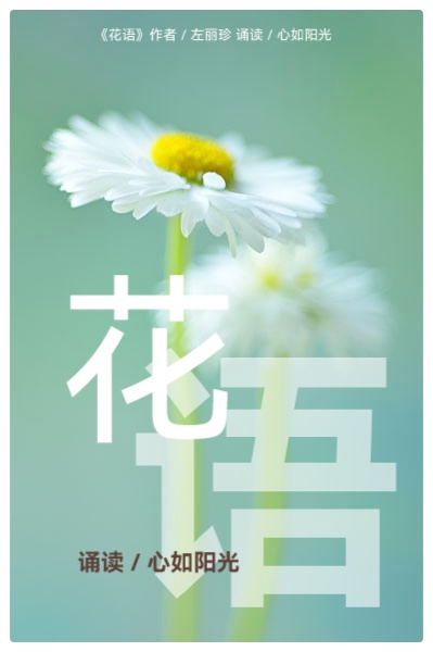 左丽珍诗歌《花之语》三部曲Ⅱ诵读: 云水禅心 心如阳光 于斌 阿莉(图4)