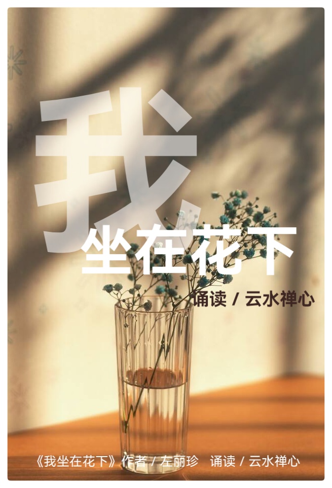 左丽珍诗歌《花之语》三部曲Ⅱ诵读: 云水禅心 心如阳光 于斌 阿莉(图3)