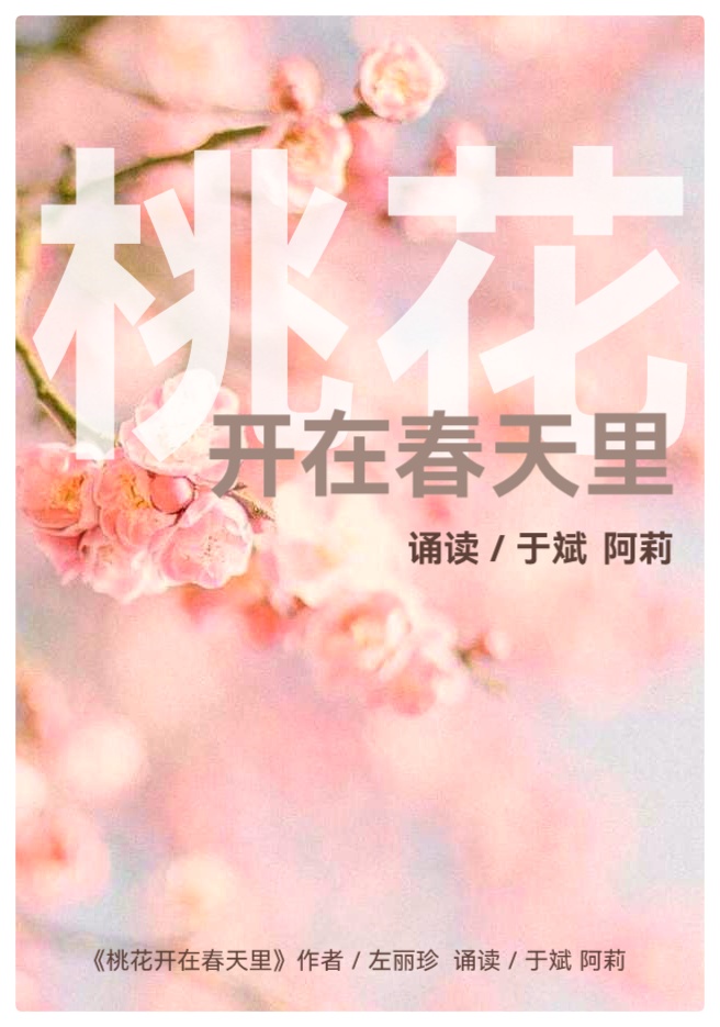 左丽珍诗歌《花之语》三部曲Ⅱ诵读: 云水禅心 心如阳光 于斌 阿莉(图5)