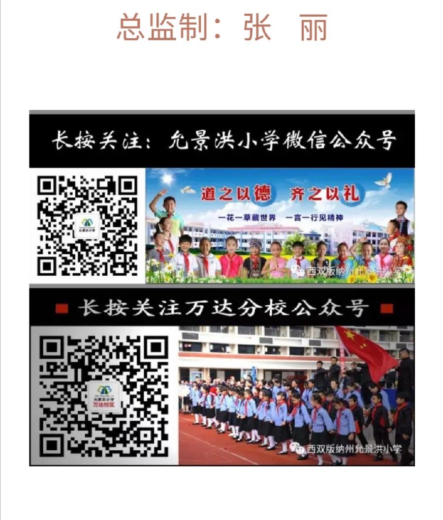 【允美教育】西双版纳州允景洪小学举行“护苗联盟·绿书签行动”暨“允美书苑”启动仪式（图28）