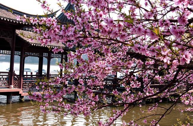 中华诗艺九江格律诗词精品鉴赏(合辑)第1423期(图54)