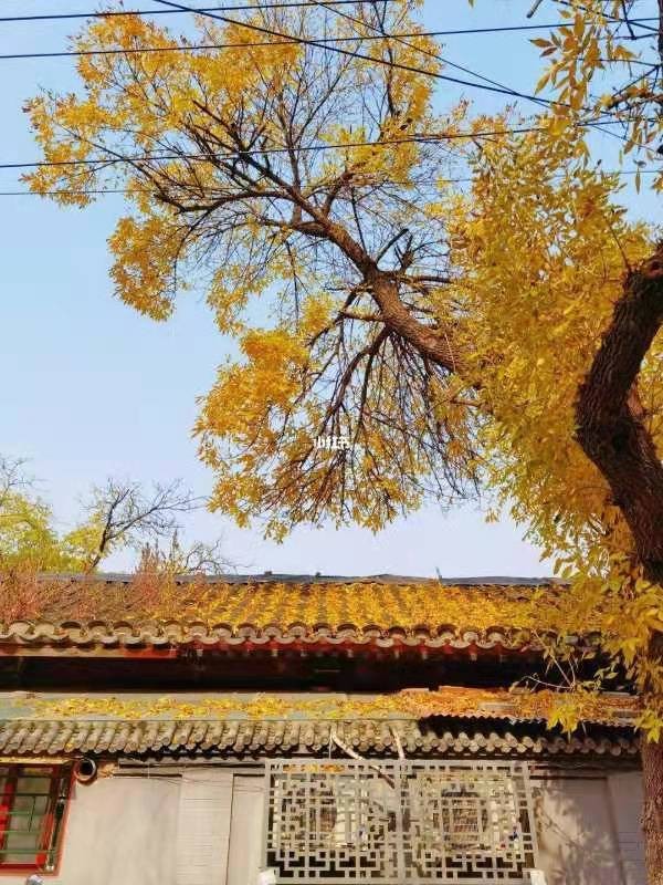 古都北京十大胡同三重奏 1 —— 南锣鼓巷 !31作者 刘云平(山西)【冰心文化传媒】(图49)