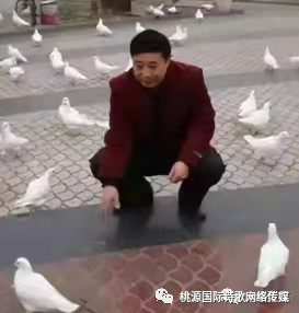 [桃源馨声]写给妈妈的E—mall|作者:靳铭|主播:涛声依旧[总1101期]（图11）