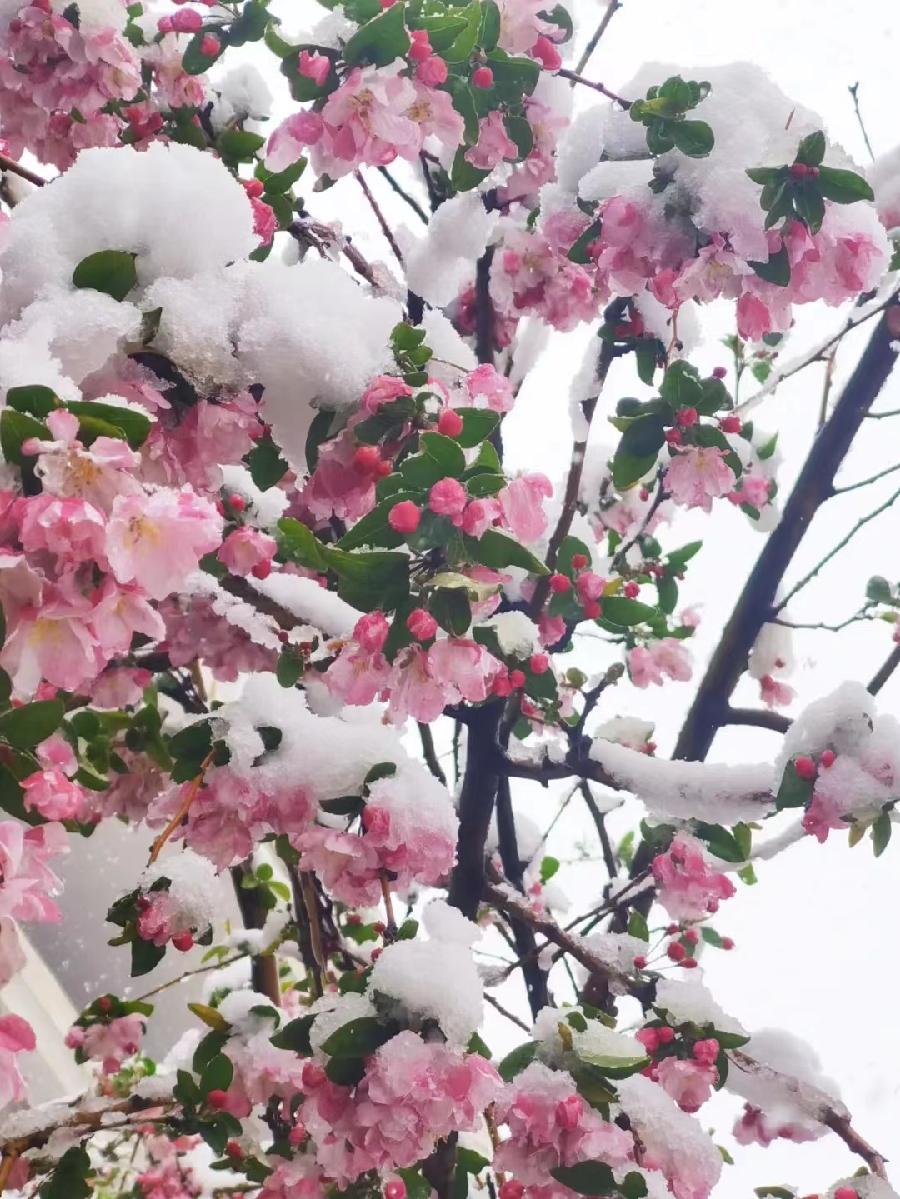 鹤祥诗词（图3）