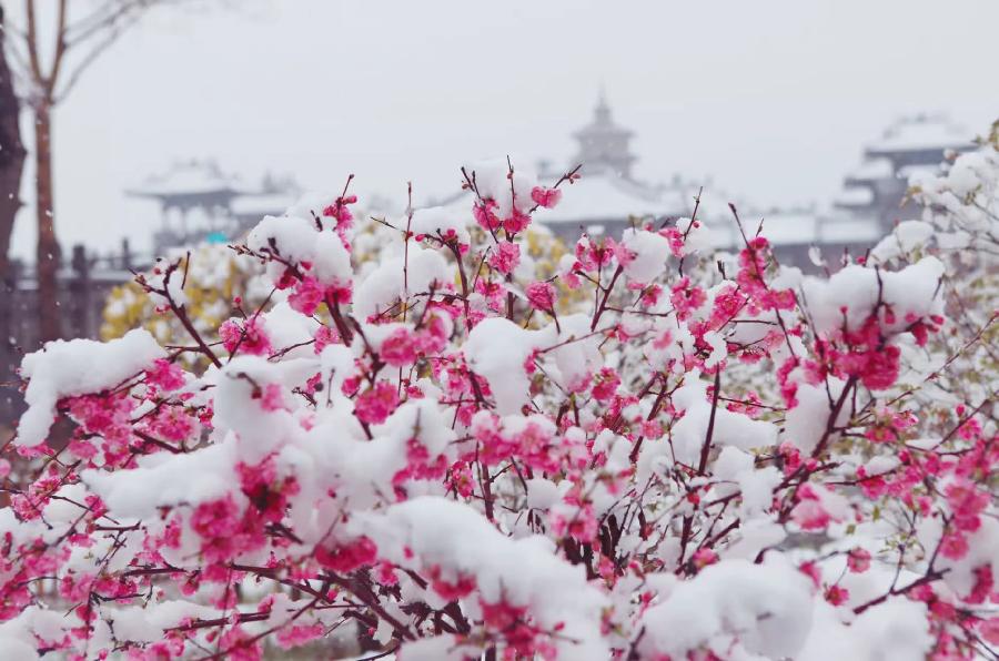 鹤祥诗词（图5）