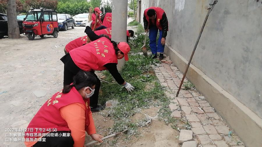 志愿服务常态化 环境整洁村民爱(图4)