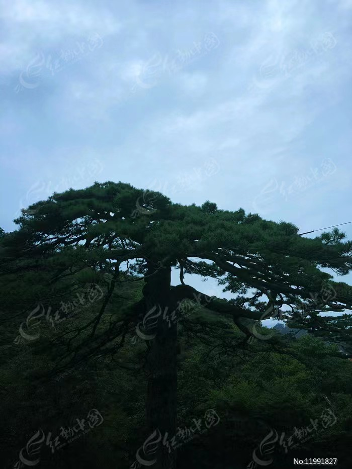 《诗写故乡十一首》作者：刘毕新（图2）
