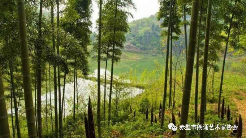 《诗写故乡十一首》作者：刘毕新（图4）