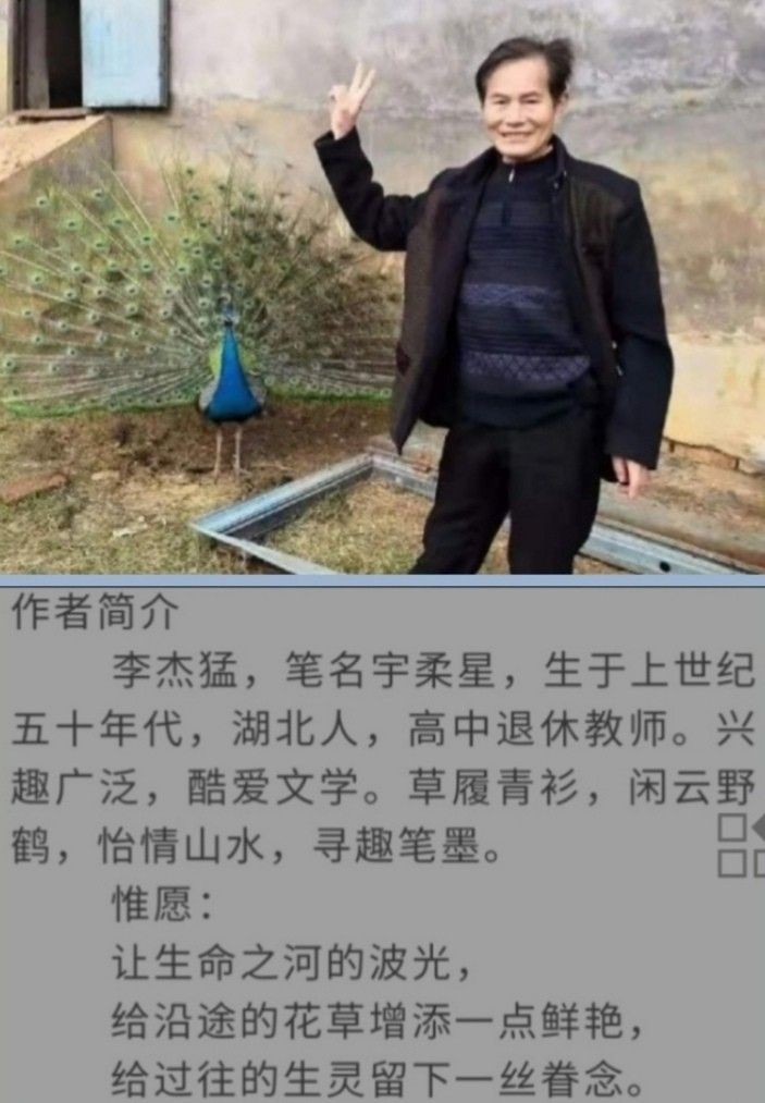 西江月十首 （词林正韵） 文/宇柔星（图4）