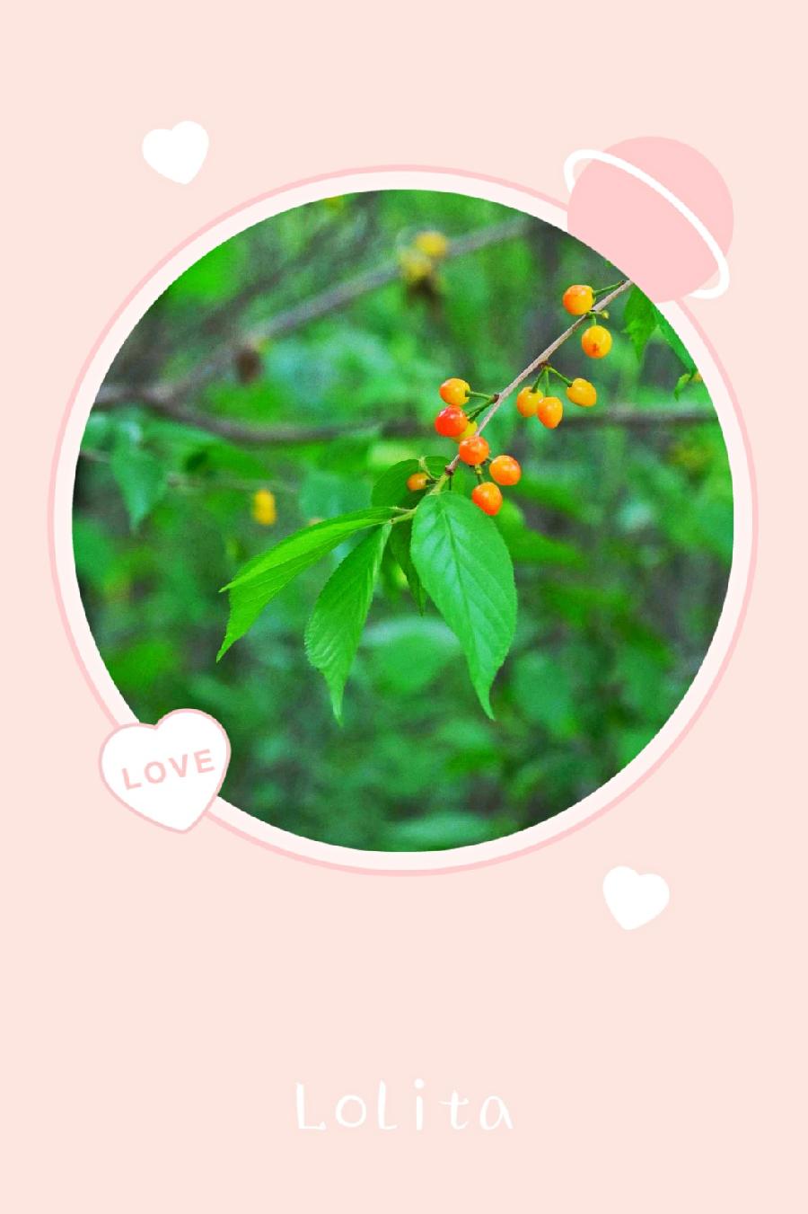 在春的转角处(图5)