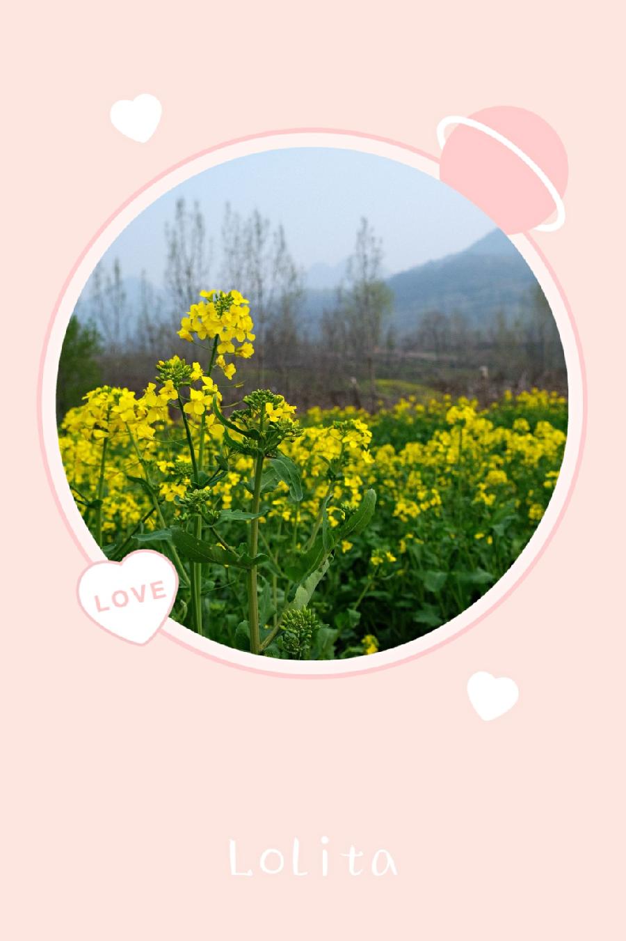 在春的转角处(图4)
