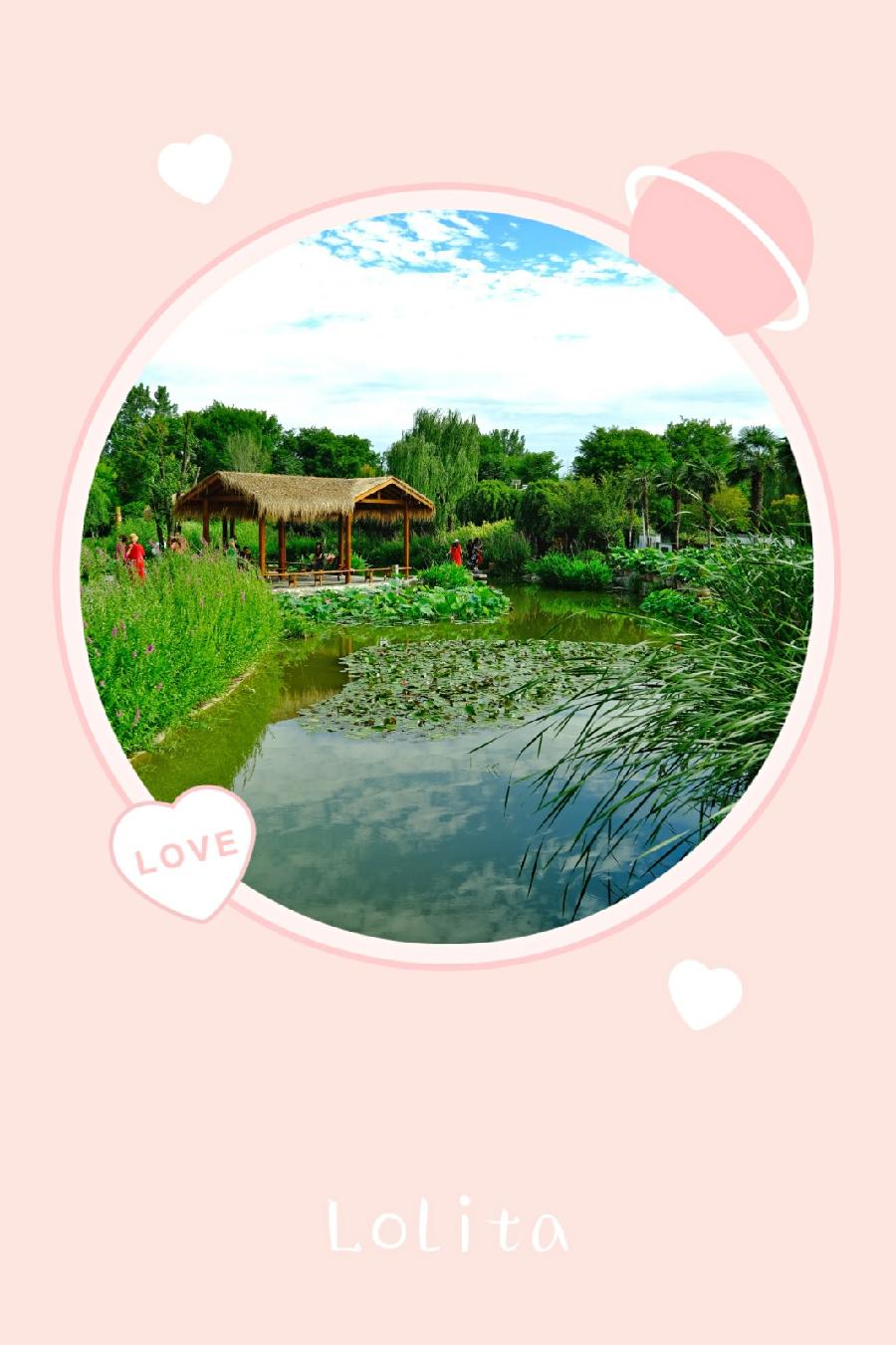 在春的转角处(图6)