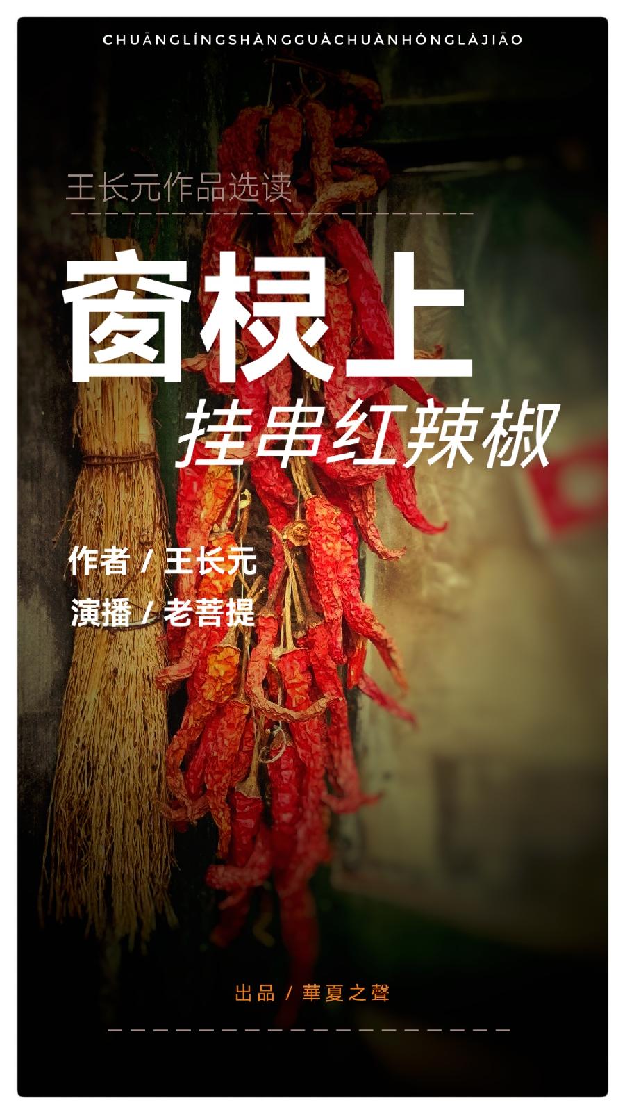 窗棂上挂串红辣椒 ll 作者:王长元 ll 演播:老菩提(图2)