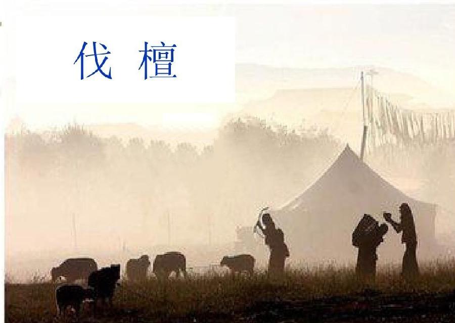 五古-伐檀 作者/李尚森 主播/王慧贤（图3）