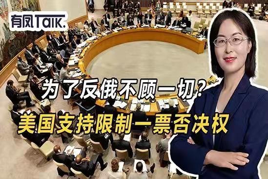 桂殿秋-联大全会对“五常一票否决”设限* 文/冯志清 (上海)【冰心文化传媒】(图3)