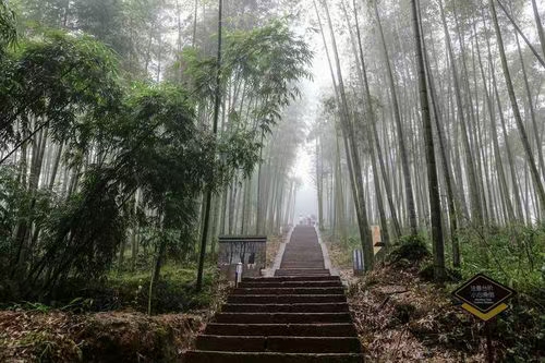 《河南朱志岩-诗选》(图4)