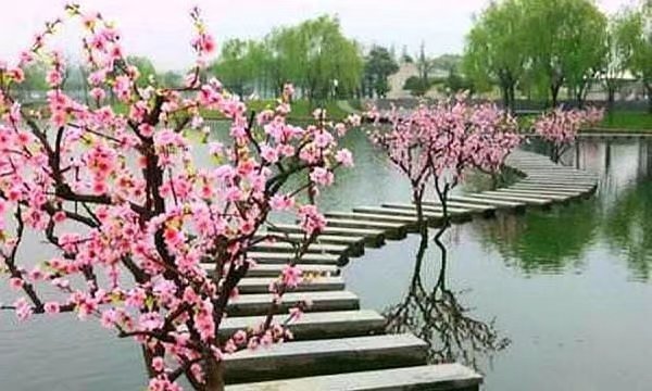 《最美人间四月天》作者/庆福 主播/空白 编辑/胡琴（图3）