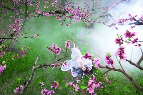 《最美人间四月天》作者/庆福 主播/空白 编辑/胡琴（图4）