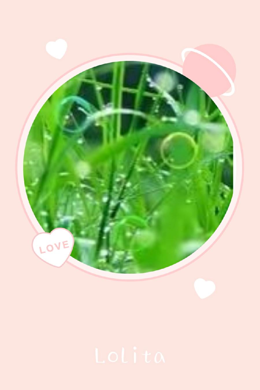 春来花开我在长安等你(图3)