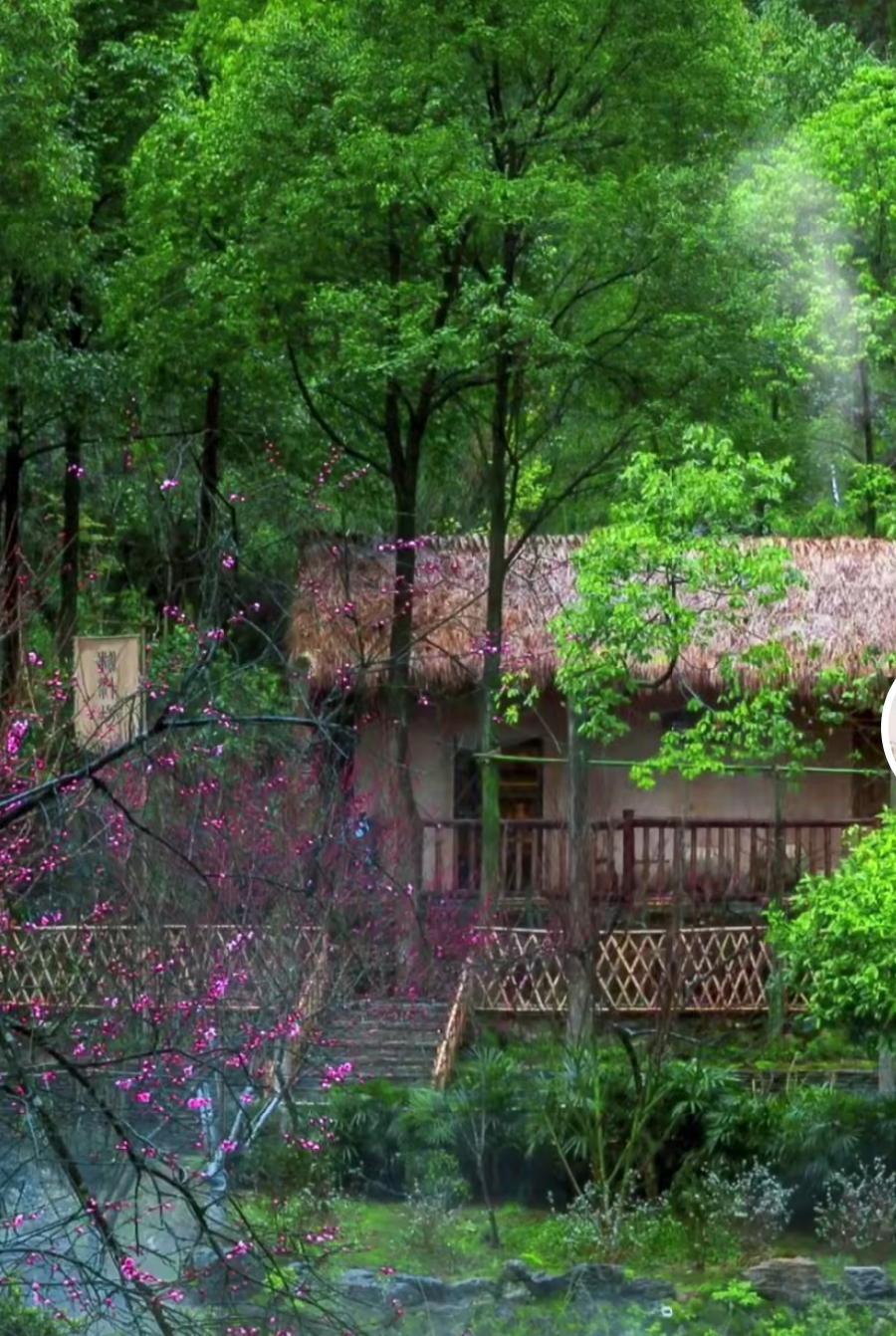 扬州慢：赏春李建初（永嘉）（图3）