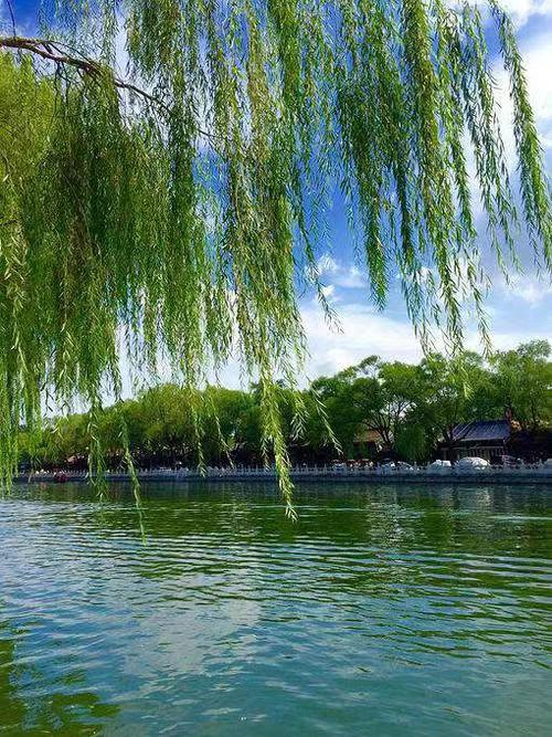 七绝组诗（外五联）作者 江花｜诵读 晚晴｜人民诗刊｜海外头条（图3）