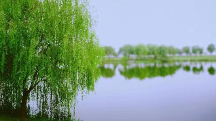 七绝组诗（外五联）作者 江花｜诵读 晚晴｜人民诗刊｜海外头条（图4）