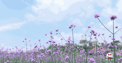 【潇湘文学社】潇湘如兰诗社《春草》（总327期）（图15）