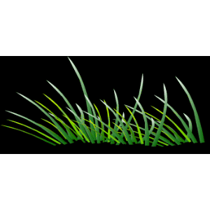 【潇湘文学社】潇湘如兰诗社《春草》（总327期）（图19）
