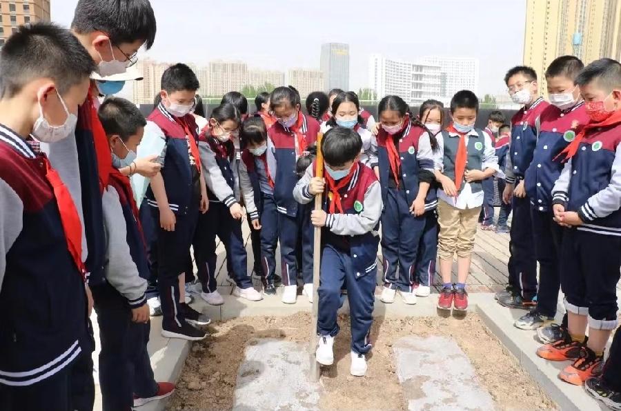致北京实验二小兰州分校四六班“躬行园”劳动纪实 作者:渝陇之子 京津沪头条(图4)