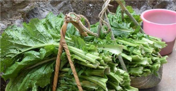 【劳动最光荣】母亲的搓菜||作者:邓才升(图2)